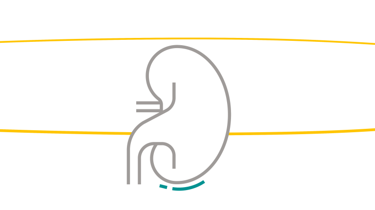 Explore JARDIANCE® for the treatment of CKD